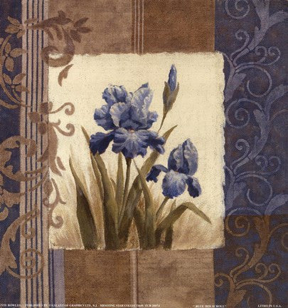 Blue Iris Scroll