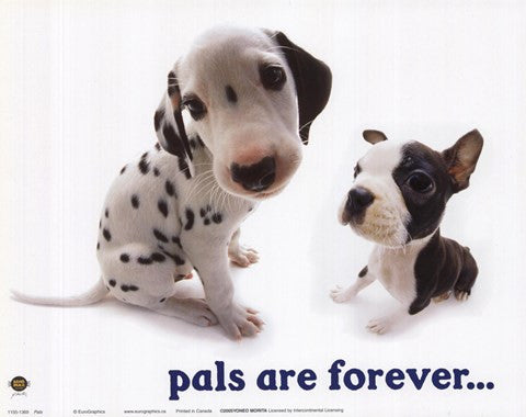 Pals Are Forever