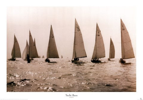 Yacht Race