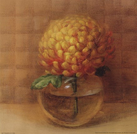 Chrysanthemum in Glass