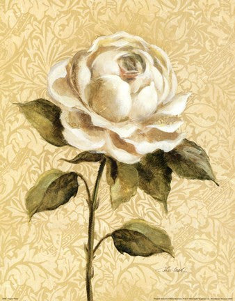 Elegant Rose