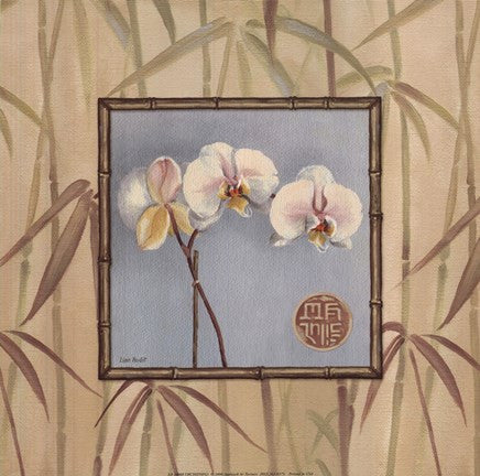 Orchid Spa III