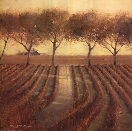 Vintage Sunlit Vineyard