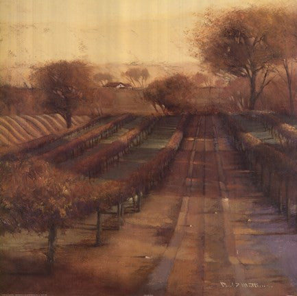 Vineyard Vista