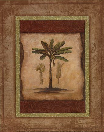 Palm Botanical Study I - special