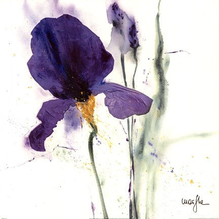 Iris I