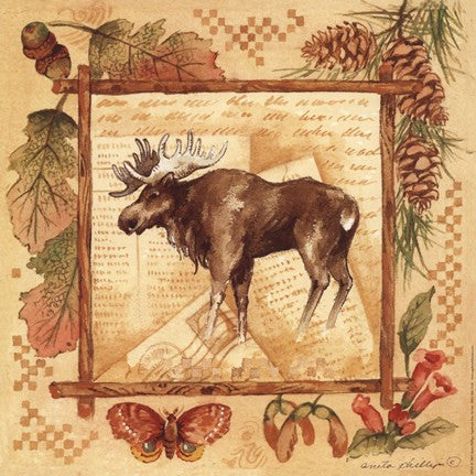 Moose - square