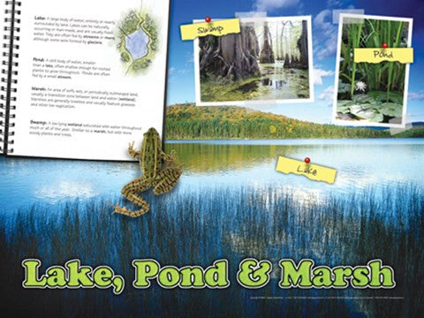 Lake, Pond & Marsh