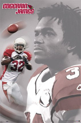 Arizona Cardinals- James