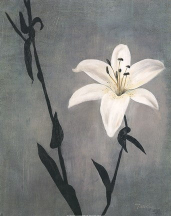 Lily on Grey