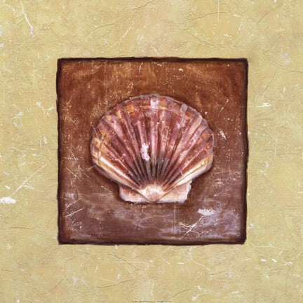 Sea Shell