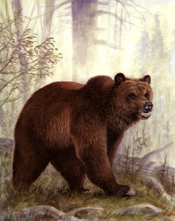 Grizzly Mama