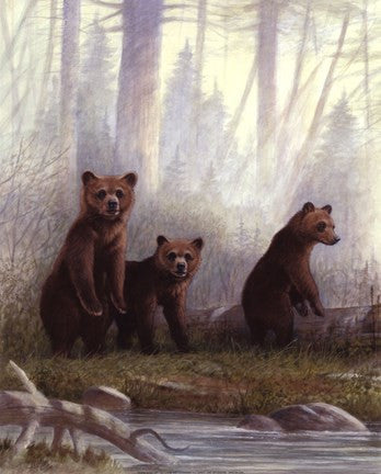 Grizzly Cubs