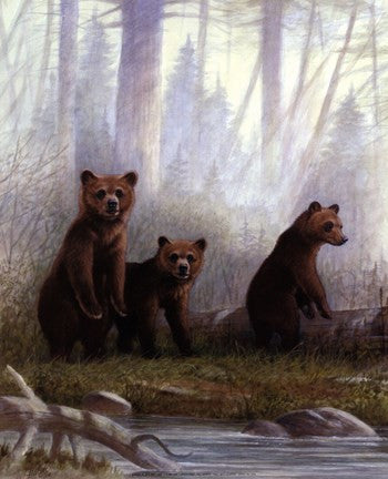 Grizzly Cubs