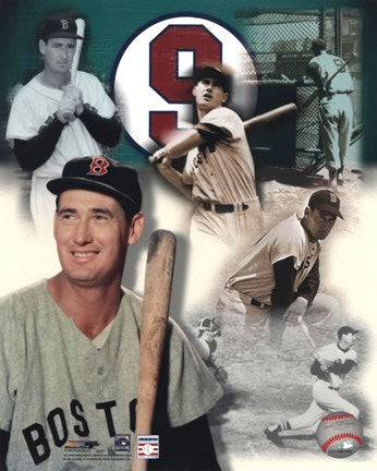 Ted Williams - Legends Of The Game Composite