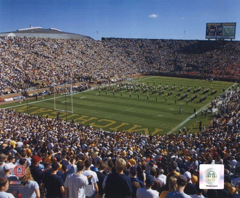 Michigan Stadium - (Michigan)