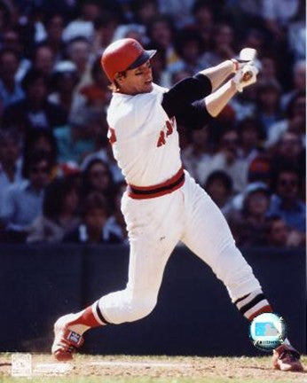 Carlton Fisk -Swinging