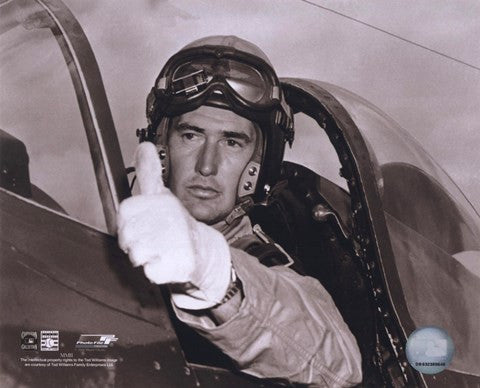 Ted Williams - Fighter Pilot (sepia)