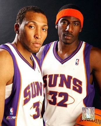 Amare Stoudemire - Shawn Marion