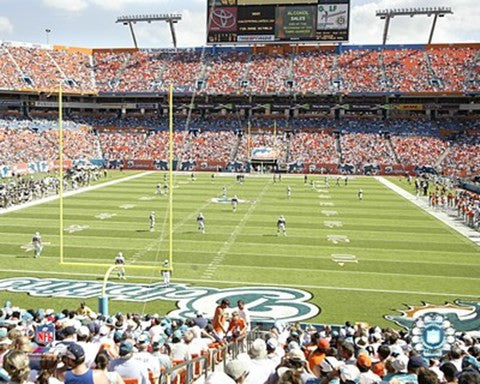 Pro Player Stadium  - N.F.L. (Dolphins)