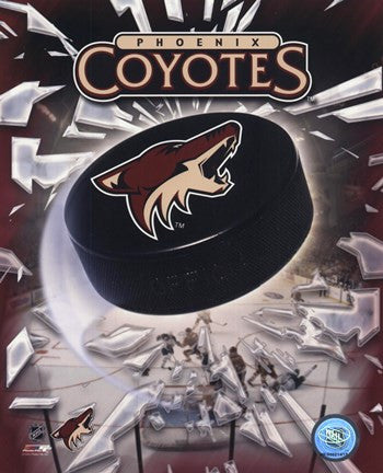 Phoenix Coyotes 2005 - Logo - Puck