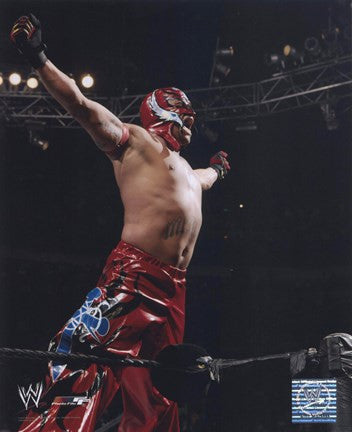 Rey Mysterio - #314