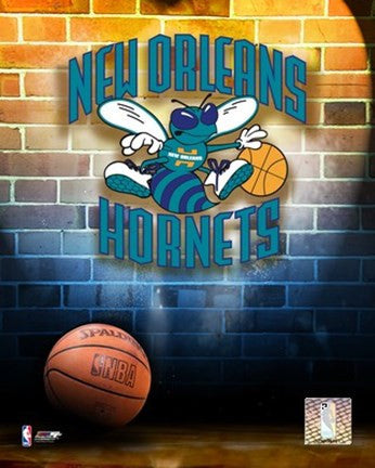 Hornets - 2006 Logo