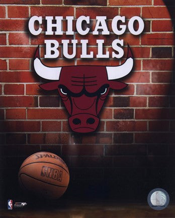 Bulls - 2006 Logo