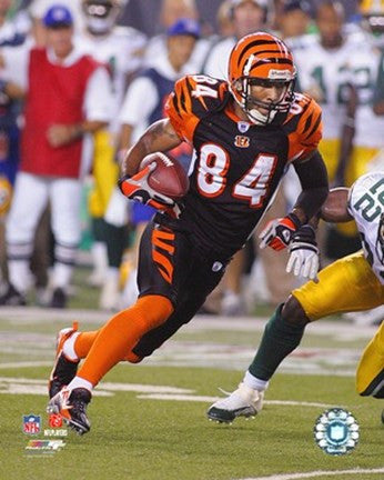 T.J. Houshmandzadeh - '06 - '07 Action