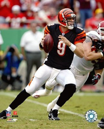 Carson Palmer 2006-2007 Action