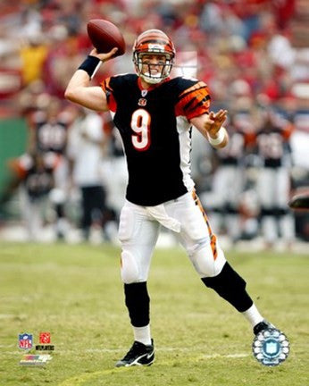 Carson Palmer - '06- '07