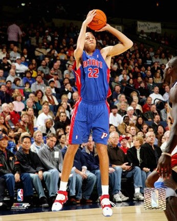 Tayshaun Prince - '06 - '07 Action