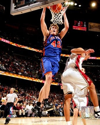 David Lee - '06 - '07 Action