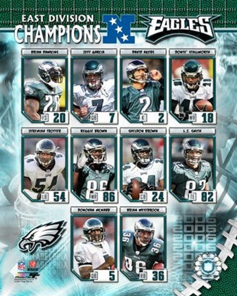 Eagles - 2006 NFC East Champions Composite