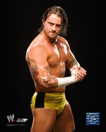 CM Punk #407