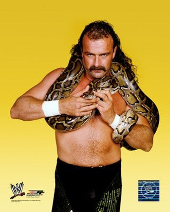 Jake "The Snake" Roberts - #352