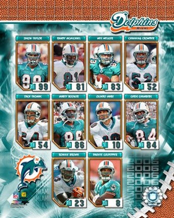 2006 - Dolphins Team Composite