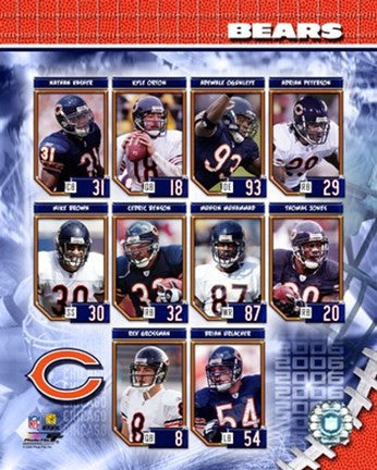 2006 - Bears Team Composite