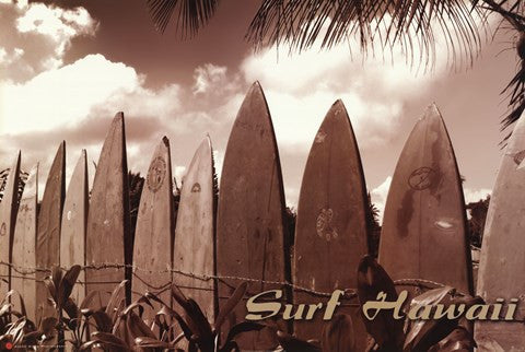 Surf Hawaii