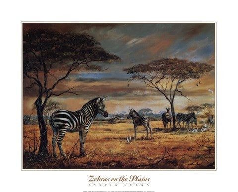 Zebras On The Plains