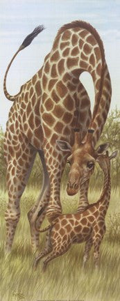 Mama Giraffe With Baby