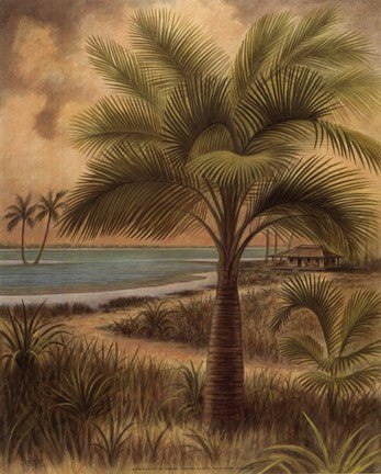 Island Palm II