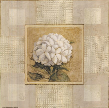 White Flower