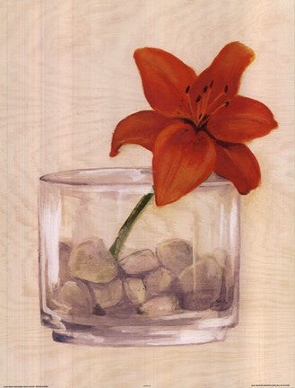 Red Flower In Bowl With Rocks