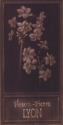 Fleurs-Pierre Lyon