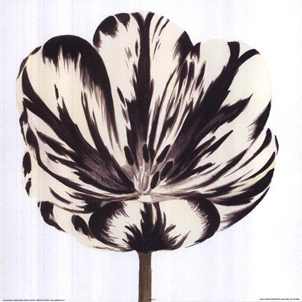 Black White Flower