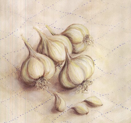 Garlic - square