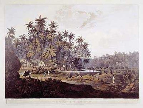 View Near Point De Galle, Ceylon