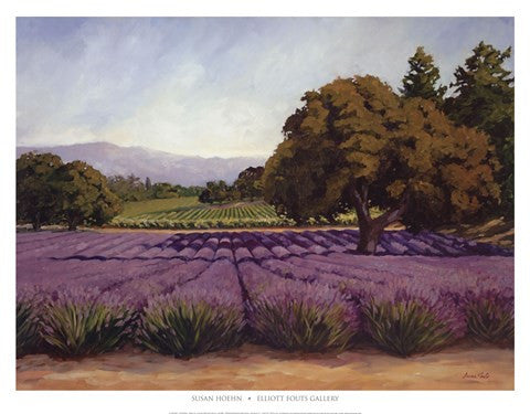 Lavender Fields