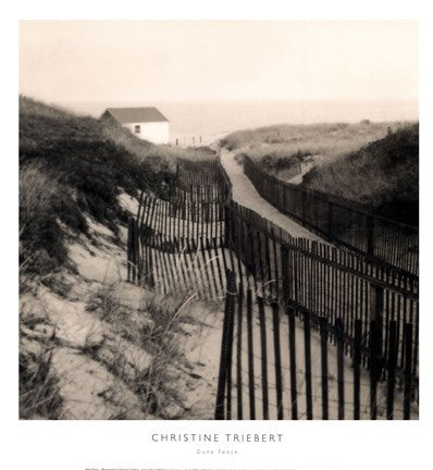 Dune Fence